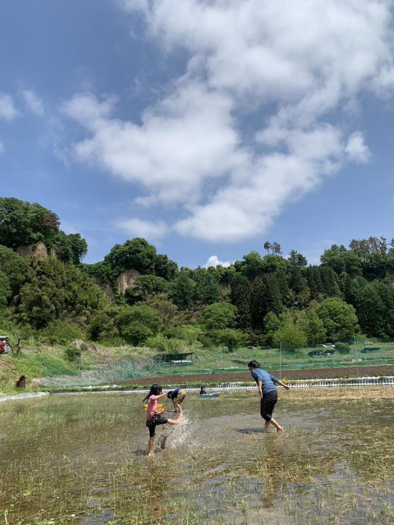 写真: おもがえっコ